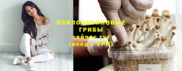 кристаллы Арсеньев