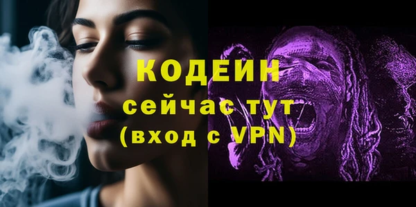 МДПВ Семёнов